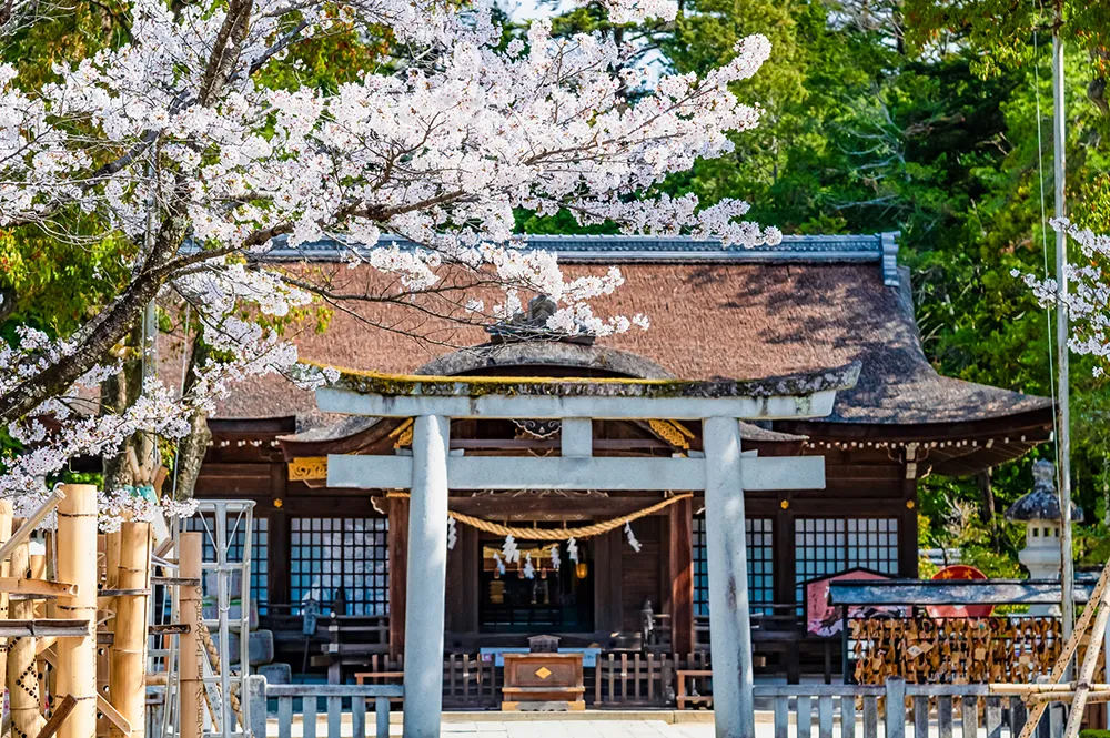 武田神社